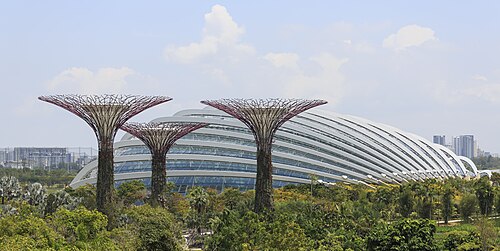 Lush planting beneath the curved glass roof of the Flower Dome in Singapore